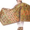 Pale Yellow & Blue Georgette Phulkari Dupatta