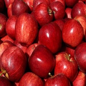 American Delicious Apple