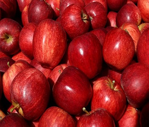 American Delicious Apple