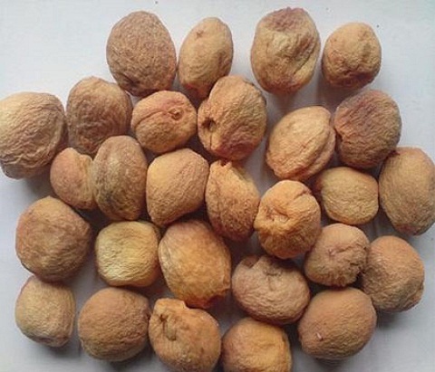 Apricot - Image 3