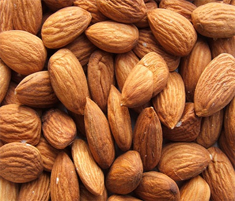 Apricot - Image 4