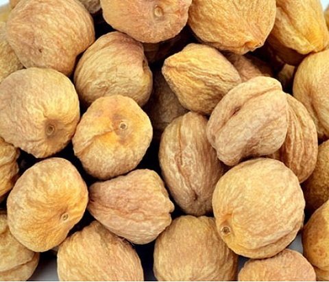 Apricot