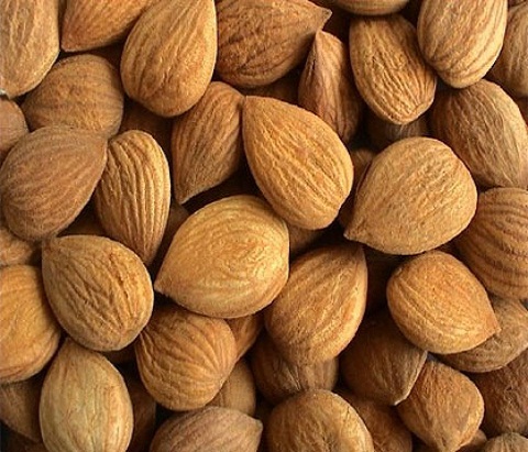Apricot - Image 2